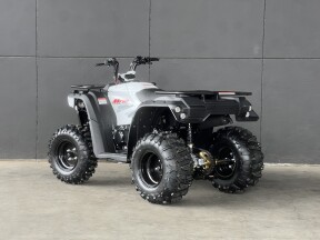 2026 LINHAI M170 WHITE thumb 0