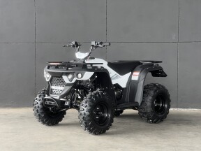 2026 LINHAI M170 WHITE thumb 2