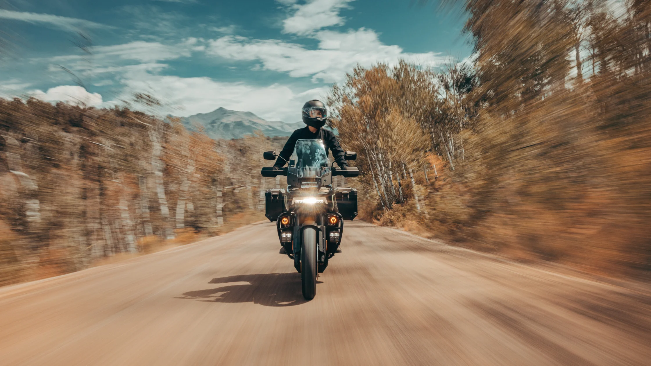 2026 H-D® Pan America® 1250 Limited adventure motorcycle riding forest road