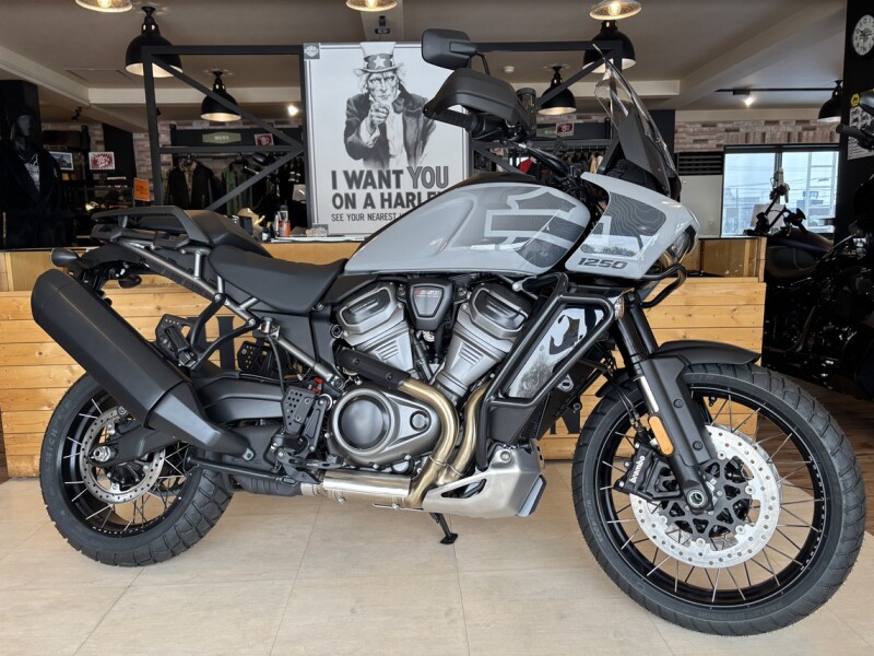 2024 Harley-Davidson® Pan America™ 1250 Special Billiard Gray w/Laced Wheels