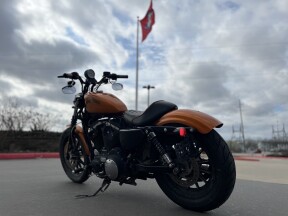 2014 Harley-Davidson® XL Iron 883™ 645 AMBER WHISKEY 451686 thumb 0