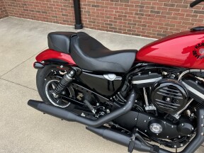 2019 Harley-Davidson Sportster Iron 883 XL883N thumb 1
