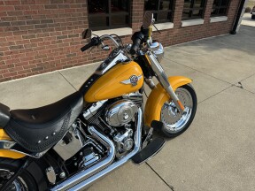 2011 Harley-Davidson Fat Boy FLSTF thumb 0
