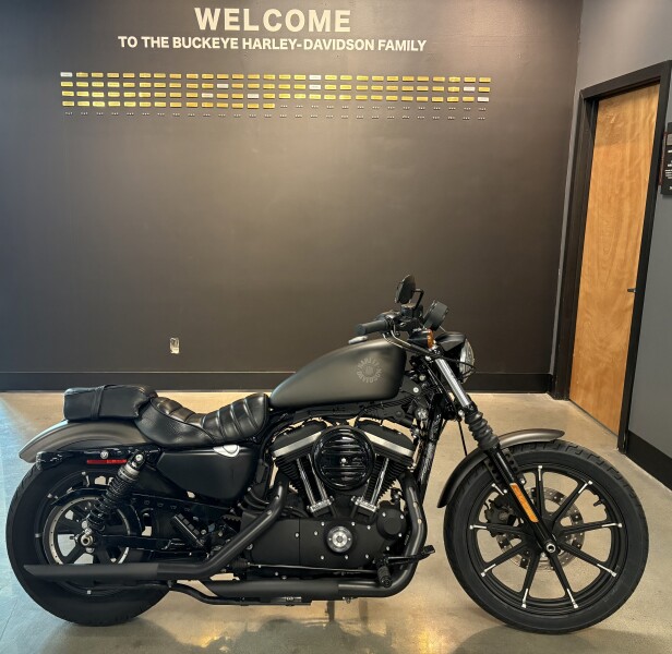 2021 Harley-Davidson® Iron 883™ River Rock Gray