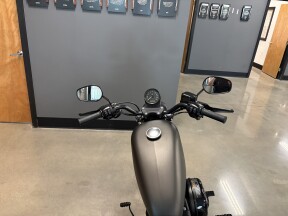 2021 Harley-Davidson® Iron 883™ River Rock Gray thumb 0