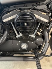 2021 Harley-Davidson® Iron 883™ River Rock Gray thumb 1