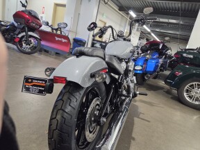 2026 Harley-Davidson® Street Bob® Dark Billiard Gray thumb 1