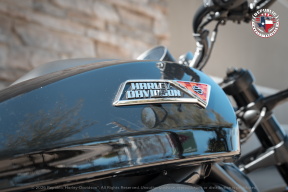 2025 Harley-Davidson® Sportster™ S RH1250S thumb 0