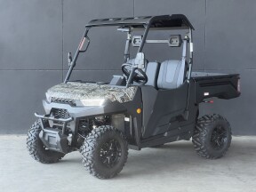 2017 LINHAI ELECTRIC GREEN thumb 3