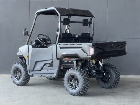 2017 LINHAI ELECTRIC GREEN thumb 1