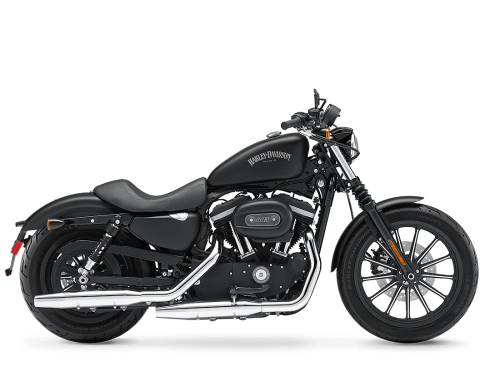 2013 Harley-Davidson® Iron 883™ XL 883N