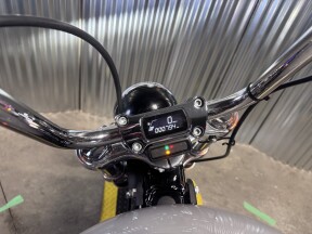 2024 Harley-Davidson® Softail® Standard Billiard Gray thumb 1