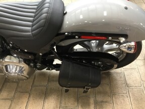 2024 Harley-Davidson® Softail® Standard Billiard Gray thumb 0