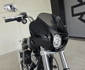 2020 Harley-Davidson® Softail Standard® thumb 2