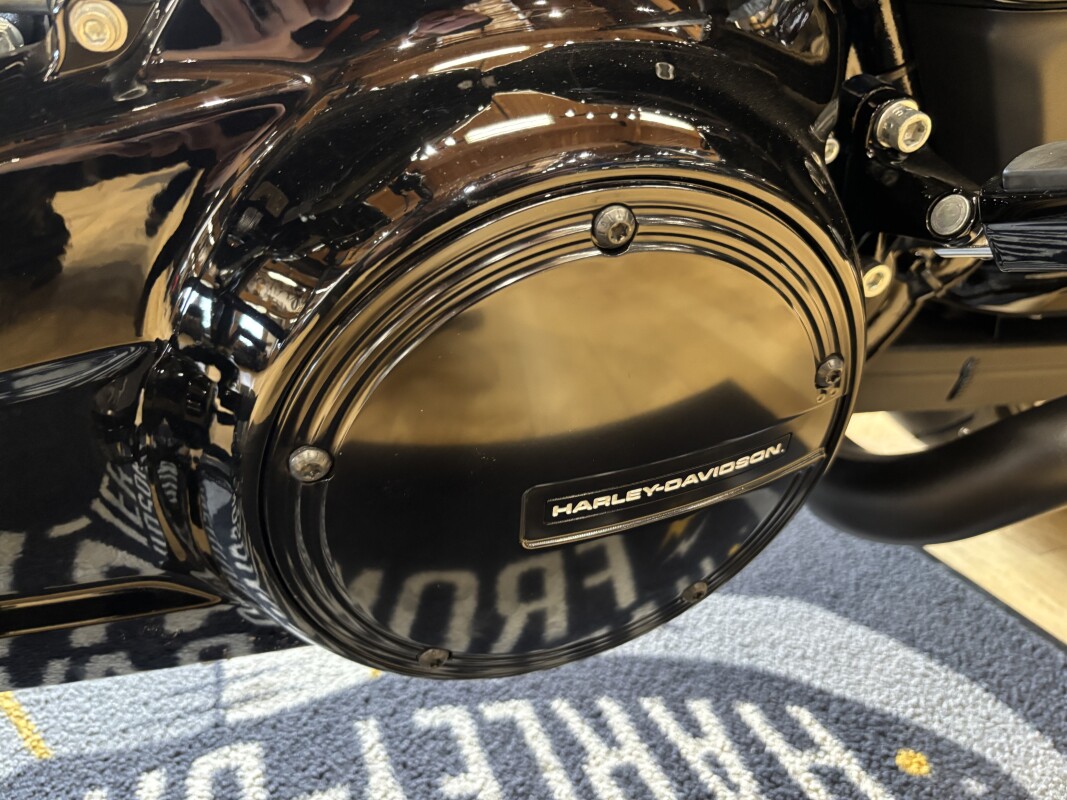 FLTRX 2026 Road Glide®, photo 14