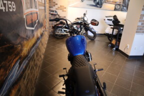 2024 Street Bob™ 114 (FXBBS) thumb 2