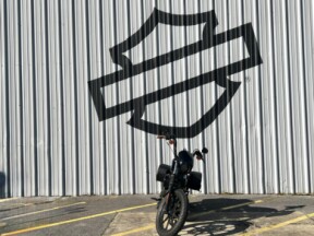 2019 Harley-Davidson® Iron 1200™ Vivid Black thumb 3