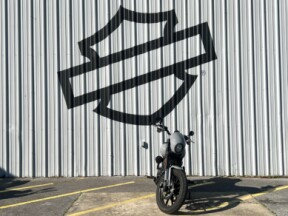 2025 Harley-Davidson® Low Rider® S Billiard Gray thumb 1