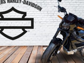 2020 Harley-Davidson® LiveWire® thumb 2