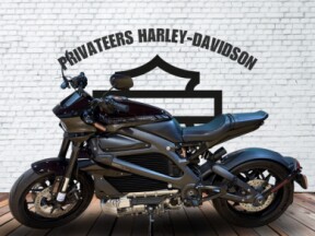 2020 Harley-Davidson® LiveWire® thumb 3