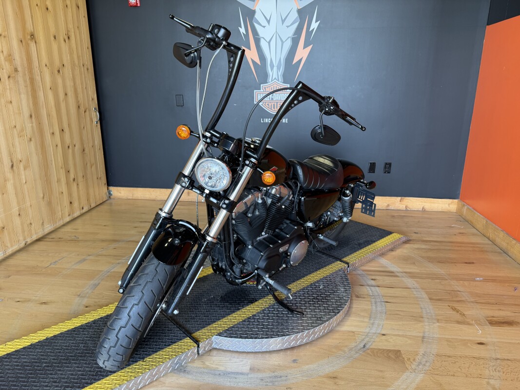 XL 1200X 2019 Forty-Eight®, photo 7