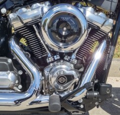 Harley-Davidson® Street Bob® 2026 thumb 2