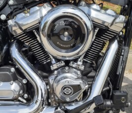 Harley-Davidson® Street Bob® 2026 thumb 2