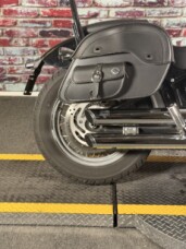 Harley-Davidson® Softail Standard® 2020 FXST BLACK thumb 1