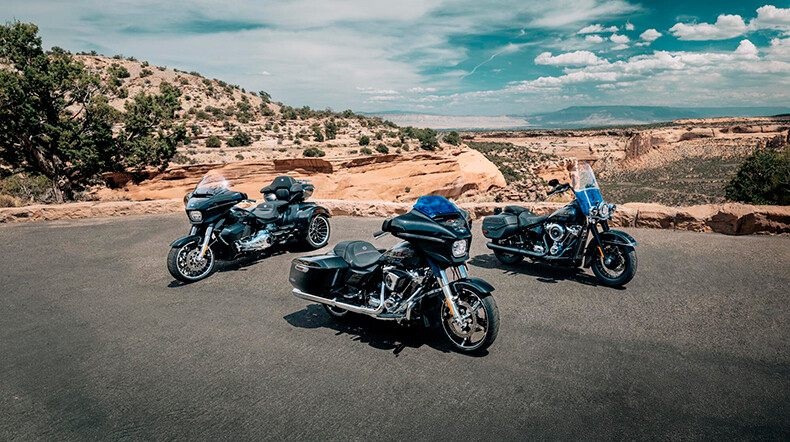 The Enthusiast Collection | Falcons Fury Harley-Davidson