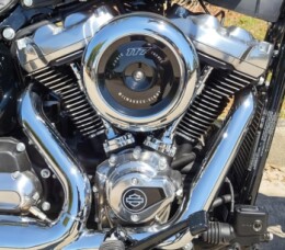 Harley-Davidson® Street Bob® 2026 thumb 2