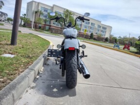 Harley-Davidson® Street Bob® 2026 thumb 0