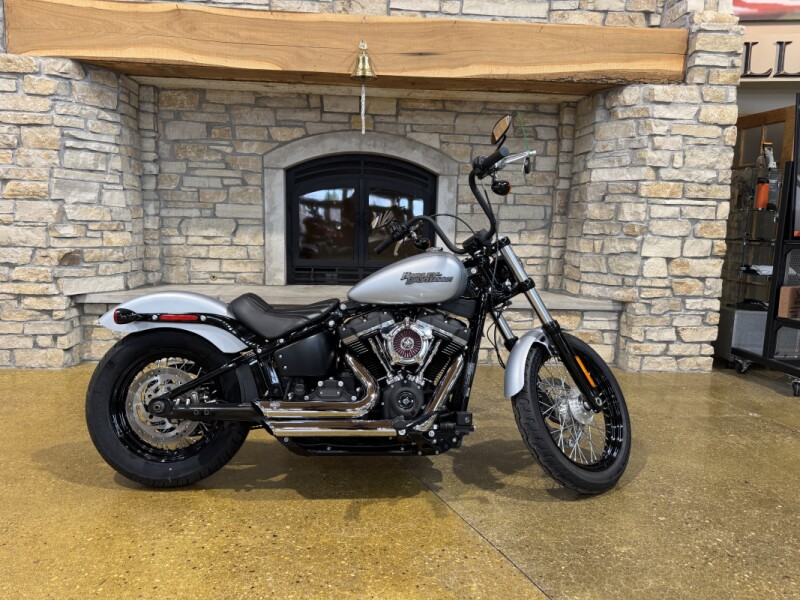 Harley-Davidson® Street Bob® 2020 FXBB BRACUDA SLV DNM W/PINSTRIPE