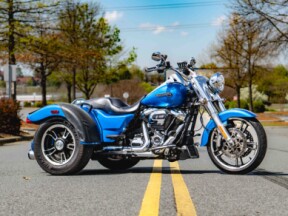 FLRT 2018 Freewheeler® thumb 3