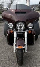 2019 Harley-Davidson Tri Glide thumb 2