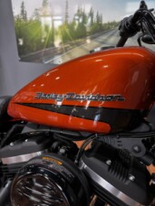 2020 Harley-Davidson® Iron 883™ SRCHORG/SLVFLUX W/PINSTRIPE thumb 1
