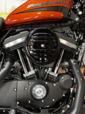 2020 Harley-Davidson® Iron 883™ SRCHORG/SLVFLUX W/PINSTRIPE thumb 0