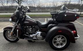 2019 Harley-Davidson Tri Glide thumb 1