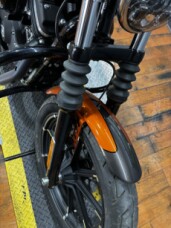 2020 Harley-Davidson® Iron 883™ SRCHORG/SLVFLUX W/PINSTRIPE thumb 2