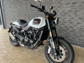 2024 Harley-Davidson® Harley-Davidson X™ 500 Pearl White thumb 3