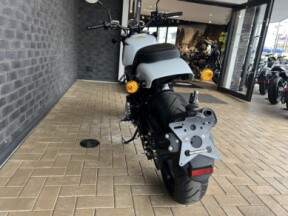 2024 Harley-Davidson® Harley-Davidson X™ 500 Pearl White thumb 1