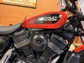2026 H-D RH975 Sportster Nightster 975cc thumb 2