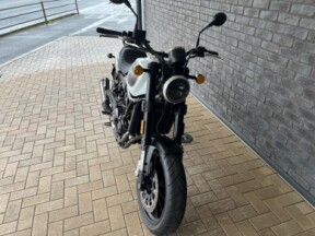 2024 Harley-Davidson® Harley-Davidson X™ 500 Pearl White thumb 0