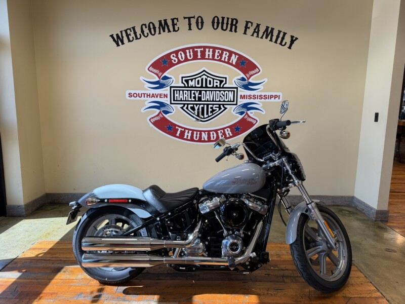 2024 Harley-Davidson® Softail® Standard Billiard Gray
