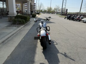 FLSL 2020 Softail Slim® thumb 2