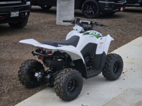 2026 Kawasaki KFX®50 thumb 0