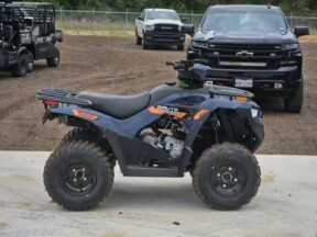 2026 Kawasaki Brute Force® 300 thumb 1