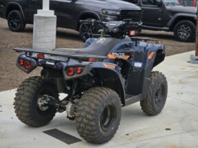 2026 Kawasaki Brute Force® 300 thumb 0