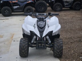 2026 Kawasaki KFX®50 thumb 3