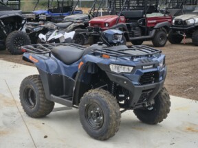 2026 Kawasaki Brute Force® 300 thumb 2