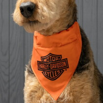 Pet Bandana
